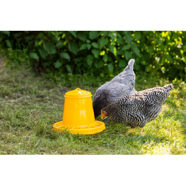 Nourrisseur poules poussin Kerbl Hobbyfarming Jaune