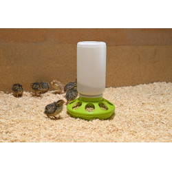 Nourrisseur pour cailles Kerbl Hobbyfarming Vert clair