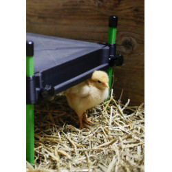 Plaque chauffante pour poussins CosyHeat Kerbl Hobbyfarming Noir / vert Plaque chauffante pour poussins CosyHeat Kerbl Hobbyfarming Noir / vert