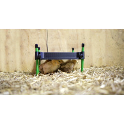 Plaque chauffante pour poussins CosyHeat Kerbl Hobbyfarming Noir / vert Plaque chauffante pour poussins CosyHeat Kerbl Hobbyfarming Noir / vert