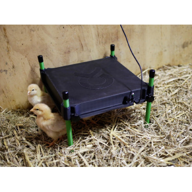 Plaque chauffante pour poussins CosyHeat Kerbl Hobbyfarming Plaque chauffante pour poussins CosyHeat Kerbl Hobbyfarming