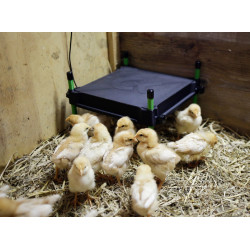 Plaque chauffante pour poussins CosyHeat Kerbl Hobbyfarming Noir / vert Plaque chauffante pour poussins CosyHeat Kerbl Hobbyfarming Noir / vert