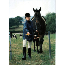 Portillon électrique Electro Gate AKO Noir