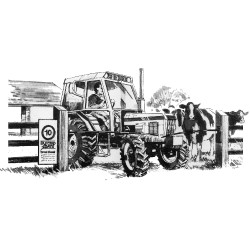 Portillon électrique Electro Gate AKO Noir