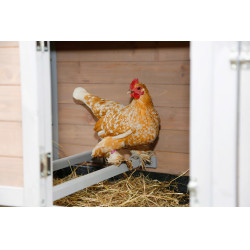 Poulailler Bonny Kerbl Hobbyfarming Poulailler Bonny Kerbl Hobbyfarming