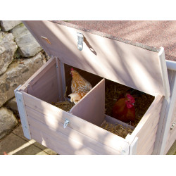Poulailler Emma Kerbl Hobbyfarming Naturel Marron