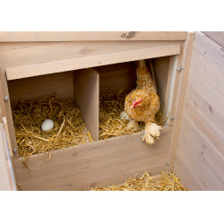Poulailler Emma Kerbl Hobbyfarming Naturel Marron