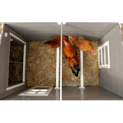 Poulailler en plastique ECO Barney Kerbl Hobbyfarming