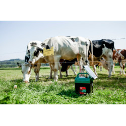 Power Shock B 290 AKO Vert