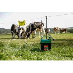 Power Shock B 290 AKO Vert