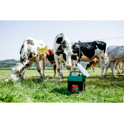 Power Shock B 290 AKO Vert