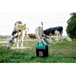 Power Shock B 290 AKO Vert