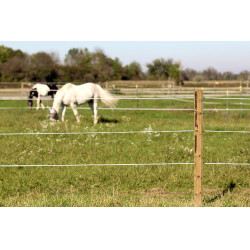 Premium Horse Wire AKO Premium Horse Wire AKO