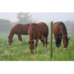 Premium Horse Wire AKO Premium Horse Wire AKO