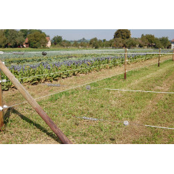 Premium Horse Wire AKO Premium Horse Wire AKO