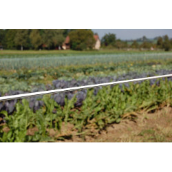 Premium Horse Wire AKO Premium Horse Wire AKO