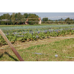 Premium Horse Wire AKO Premium Horse Wire AKO