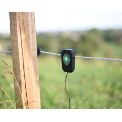 Pulse Flash AKO Noir