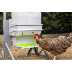 Abreuvoir pour volaille SmartCoop Kerbl Hobbyfarming