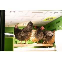 Éclairage LED SmartCoop pour poulailler Kerbl Hobbyfarming Éclairage LED SmartCoop pour poulailler Kerbl Hobbyfarming