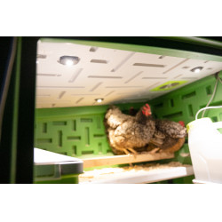 Éclairage LED SmartCoop pour poulailler Kerbl Hobbyfarming Éclairage LED SmartCoop pour poulailler Kerbl Hobbyfarming