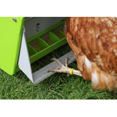 Nourrisseur avec dispositif anti-nuisibles Kerbl Hobbyfarming Nourrisseur avec dispositif anti-nuisibles Kerbl Hobbyfarming