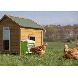 Nourrisseur avec dispositif anti-nuisibles Kerbl Hobbyfarming Vert / gris clair Nourrisseur avec dispositif anti-nuisibles Kerbl Hobbyfarming Vert / gris clair