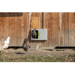 Porte de poulailler SmartCoop Kerbl Hobbyfarming Gris Porte de poulailler SmartCoop Kerbl Hobbyfarming Gris