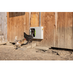 Porte de poulailler SmartCoop Kerbl Hobbyfarming Gris Porte de poulailler SmartCoop Kerbl Hobbyfarming Gris