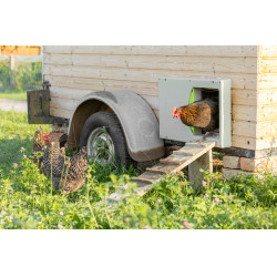 Porte de poulailler SmartCoop Kerbl Hobbyfarming Gris Porte de poulailler SmartCoop Kerbl Hobbyfarming Gris