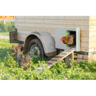 Porte de poulailler SmartCoop Kerbl Hobbyfarming Porte de poulailler SmartCoop Kerbl Hobbyfarming
