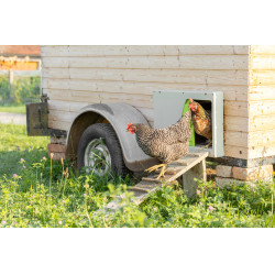 Porte de poulailler SmartCoop Kerbl Hobbyfarming Gris Porte de poulailler SmartCoop Kerbl Hobbyfarming Gris