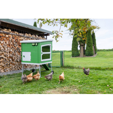 Unité de contrôle SmartCoop Kerbl Hobbyfarming Unité de contrôle SmartCoop Kerbl Hobbyfarming