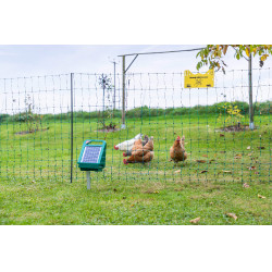 Sun Power S 250 AKO Vert