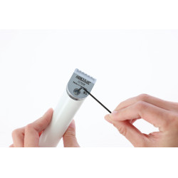 Tête de coupe de rechange pour Exacta/Isis Aesculap Gris Tête de coupe de rechange pour Exacta/Isis Aesculap Gris