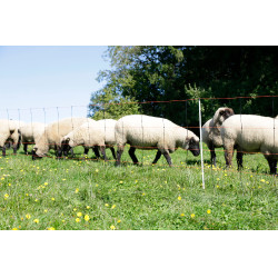 TitanLight Net Kerbl Hobbyfarming Orange / noir TitanLight Net Kerbl Hobbyfarming Orange / noir