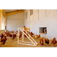 Tour d’escalade pour poules Kerbl Hobbyfarming Bois Beige