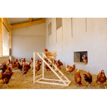 Tour d’escalade pour poules Kerbl Hobbyfarming Tour d’escalade pour poules Kerbl Hobbyfarming