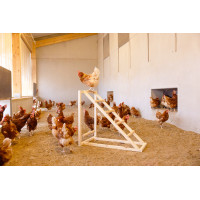 Tour d’escalade pour poules Kerbl Hobbyfarming Bois Beige