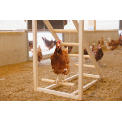 Tour d’escalade pour poules Kerbl Hobbyfarming Bois Beige Tour d’escalade pour poules Kerbl Hobbyfarming Bois Beige