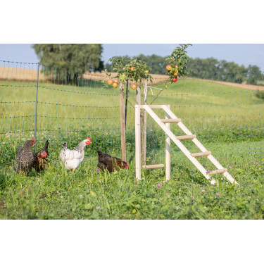 Tour d’escalade pour poules Kerbl Hobbyfarming Tour d’escalade pour poules Kerbl Hobbyfarming