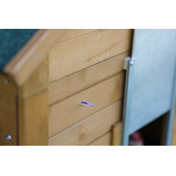 Unité de contrôle automatique pour porte de poulailler Kerbl Hobbyfarming Vert Unité de contrôle automatique pour porte de poulailler Kerbl Hobbyfarming Vert