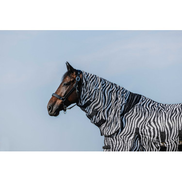 Chemise Riding World Belly Mesh Combo Chemise Riding World Belly Mesh Combo