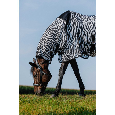 Chemise Riding World Belly Mesh Combo Chemise Riding World Belly Mesh Combo