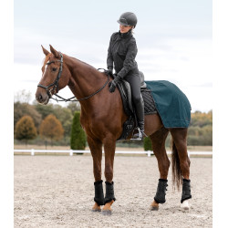 Blouson d’équitation ELT Performance Ravenna femme Noir