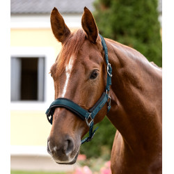 Licol Waldhausen Soft Touch Bleu pétrole Licol Waldhausen Soft Touch Bleu pétrole