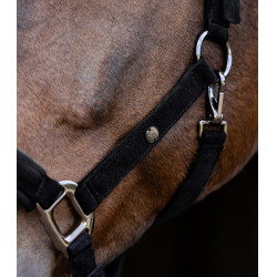 Licol Waldhausen St. Gallen Noir