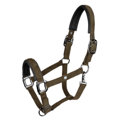 Licol Waldhausen St. Gallen Brun vert Marron