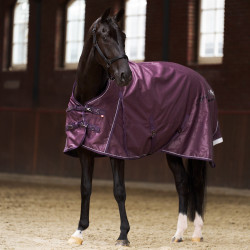 Couverture de paddock Imperial Riding Super-dry 50gr 600D Figue Violet