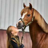 Licol Imperial Riding Rebel Vert olive